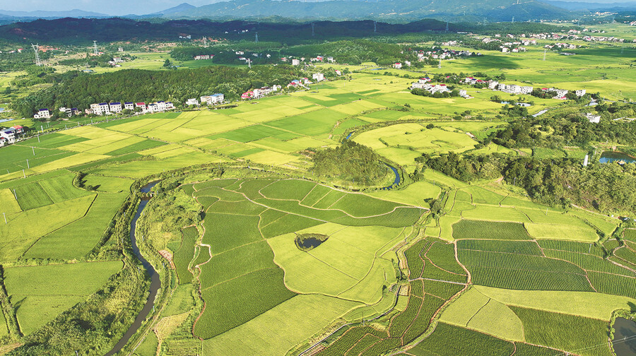 生态田园夏意浓